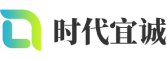 大新县软件开发公司